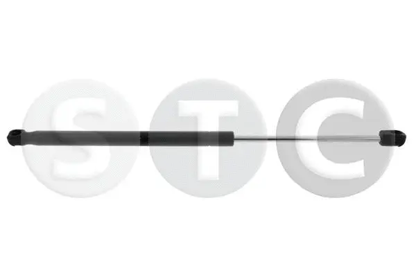 Gas Spring, boot/cargo area (T446756)