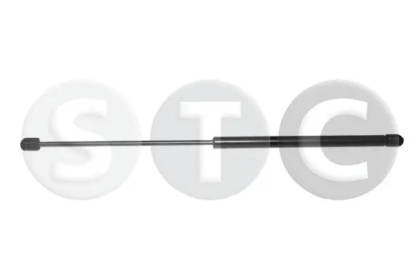 Gas Spring, boot/cargo area (T446606)