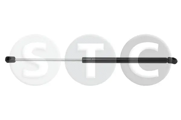 Gas Spring, boot/cargo area (T446264)