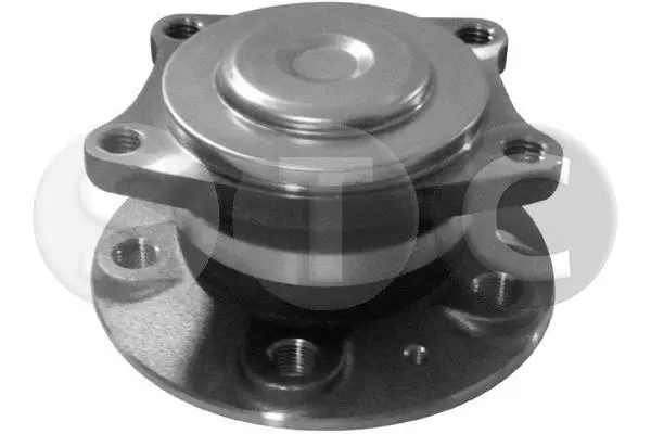 Wheel Bearing Kit (T490411)