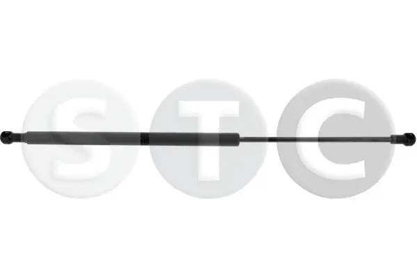 Gas Spring, rear window (T446665)