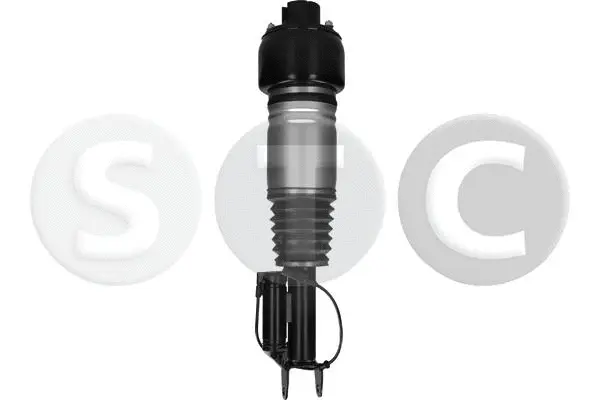 Air Suspension Strut (T442985)