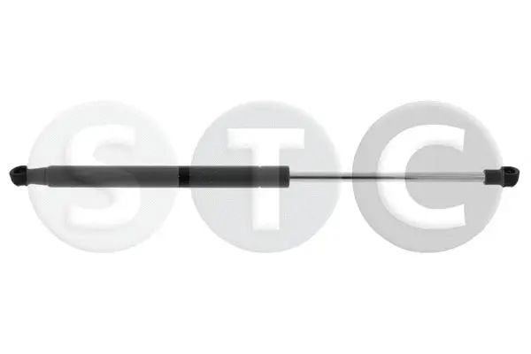 Gas Spring, boot/cargo area (T446385)