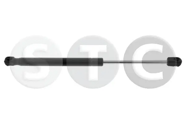 Gas Spring, boot/cargo area (T446442)