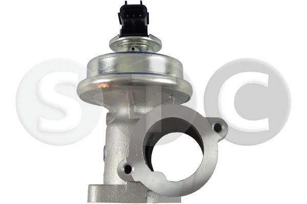 EGR Valve (T493155)
