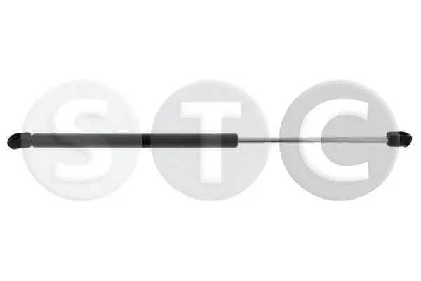 Gas Spring, boot/cargo area (T446396)