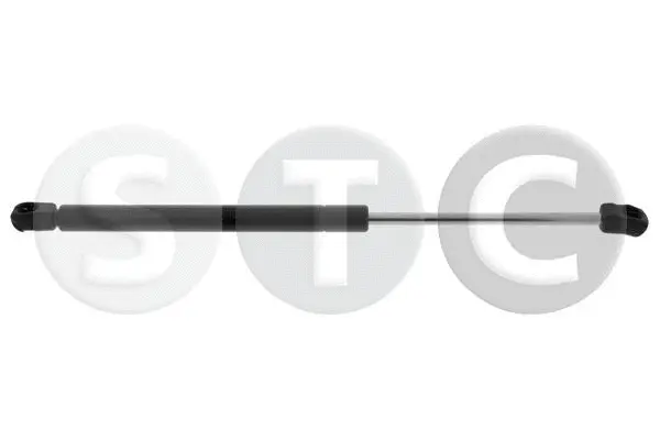 Gas Spring, rear window (T446757)