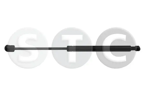 Gas Spring, bonnet (T446304)