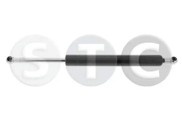 Gas Spring, boot/cargo area (T446311)