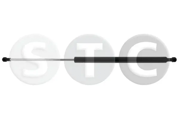 Gas Spring, boot/cargo area (T446303)