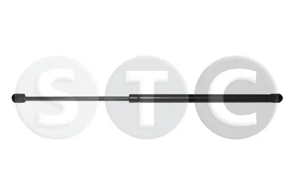Gas Spring, boot/cargo area (T446314)