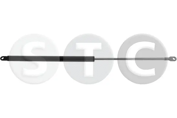 Gas Spring, boot/cargo area (T446561)