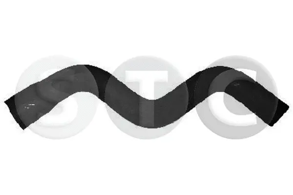 Radiator Hose (T409380)
