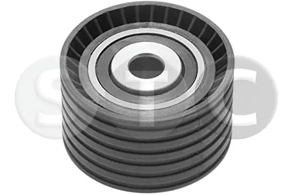 Deflection/Guide Pulley, timing belt (T414869)