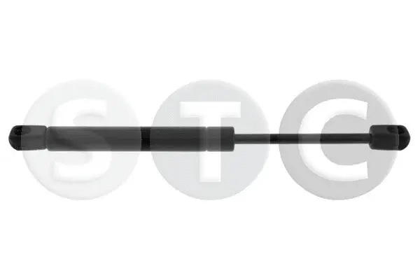 Gas Spring, boot/cargo area (T446695)