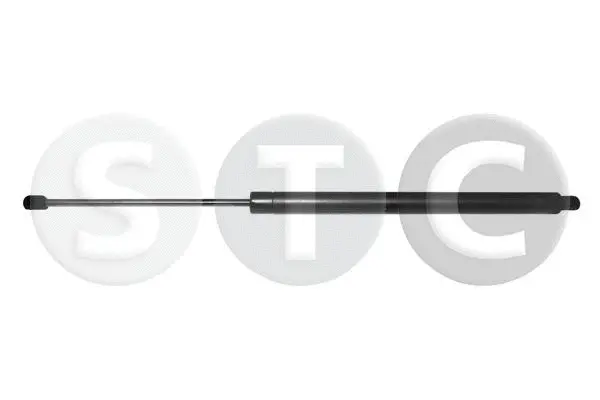 Gas Spring, boot/cargo area (T446745)