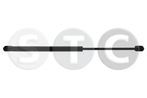 Gas Spring, boot/cargo area (T446185)