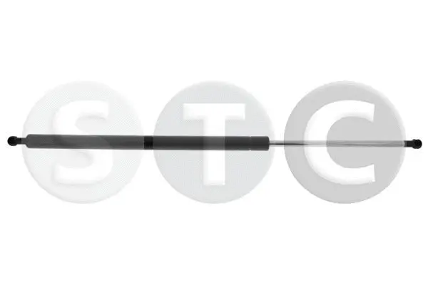 Gas Spring, boot/cargo area (T446847)