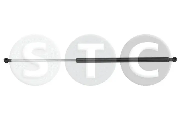 Gas Spring, boot/cargo area (T446133)