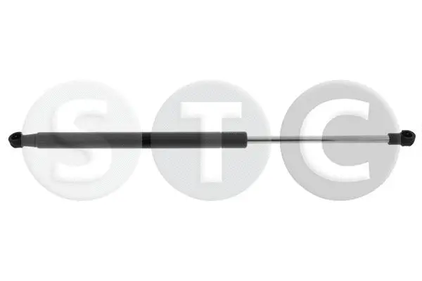 Gas Spring, boot/cargo area (T446903)