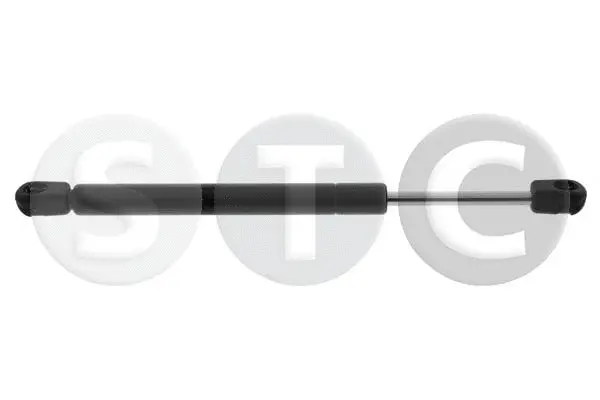 Gas Spring, boot/cargo area (T446720)
