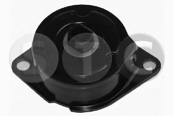 Belt Tensioner, V-ribbed belt (T404923)