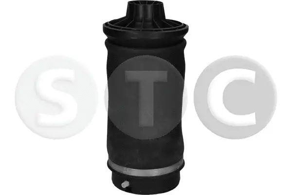 Air Spring, suspension