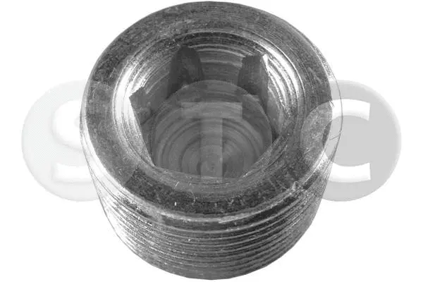 Screw Plug, oil sump (T400676)