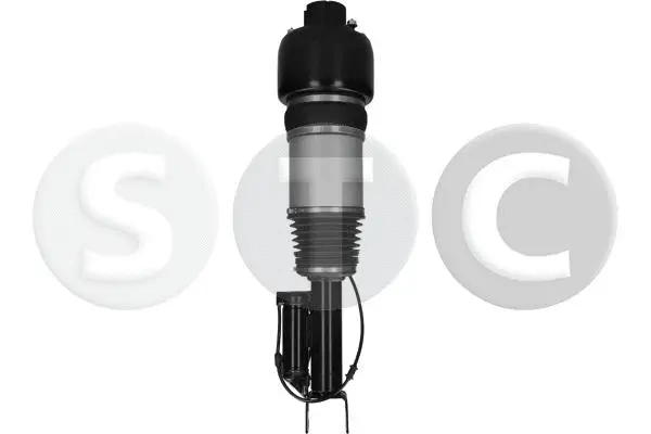 Air Suspension Strut