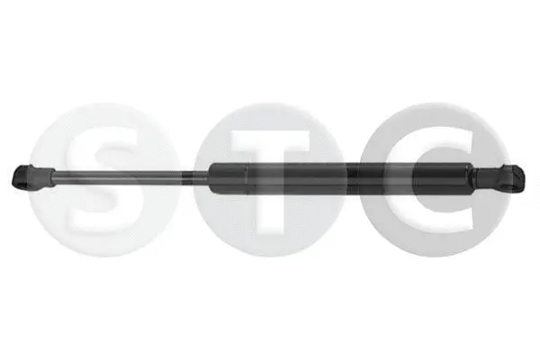 Gas Spring, boot/cargo area (T446698)