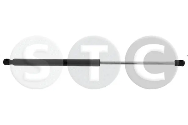 Gas Spring, boot/cargo area (T446839)