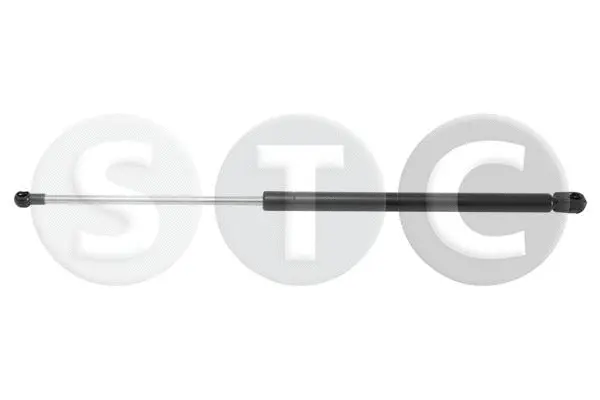 Gas Spring, boot/cargo area (T446285)