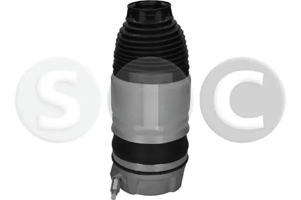 Air Spring, suspension (T442950)