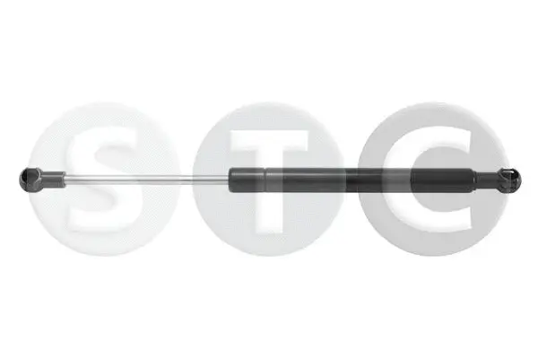 Gas Spring, boot/cargo area (T446170)