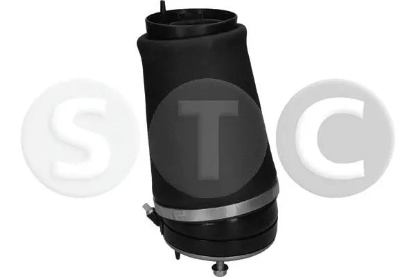 Air Spring, suspension