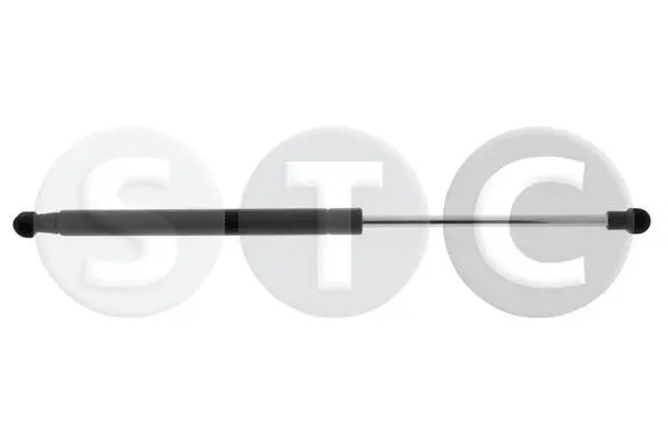 Gas Spring, boot/cargo area (T446915)