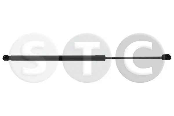 Gas Spring, boot/cargo area (T446588)