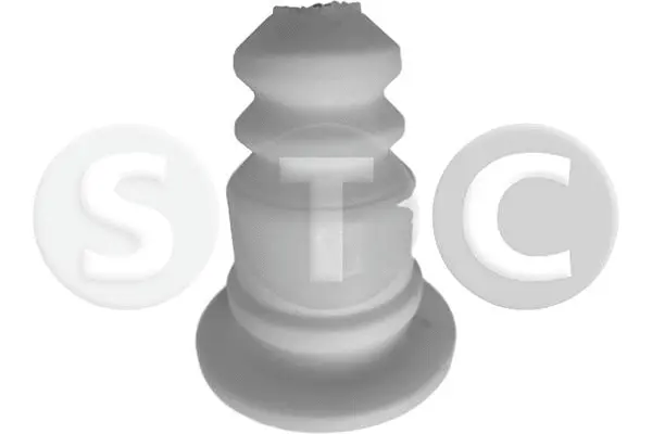 Bushing, axle beam (T451038)