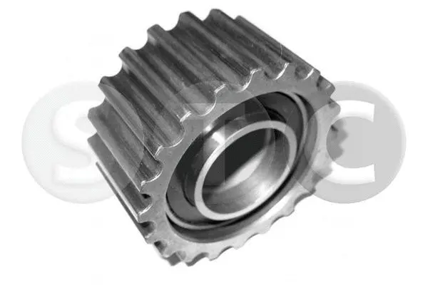 Deflection/Guide Pulley, timing belt (T449881)