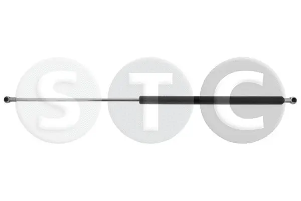 Gas Spring, boot/cargo area (T446788)