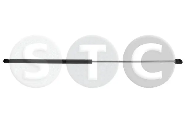 Gas Spring, bonnet (T446870)