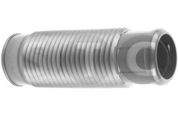 Protective Cap/Bellow, shock absorber (T440412)