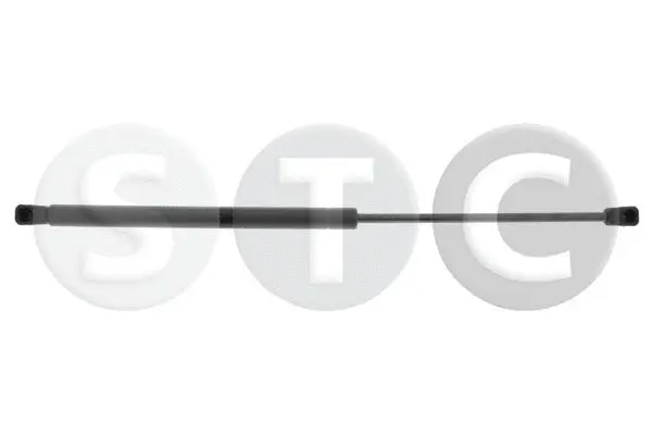 Gas Spring, boot/cargo area (T446436)