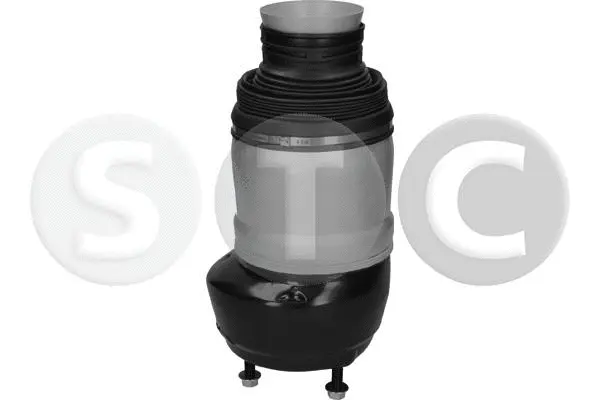 Air Spring, suspension (T442944)