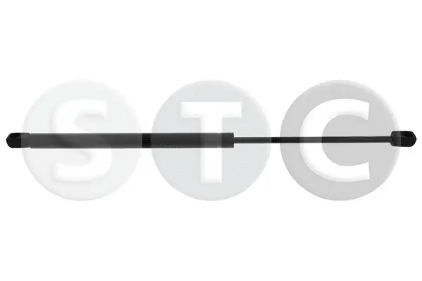 Gas Spring, boot/cargo area (T446372)