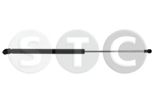 Gas Spring, boot/cargo area (T446140)