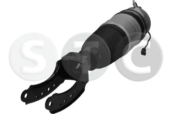 Air Suspension Strut