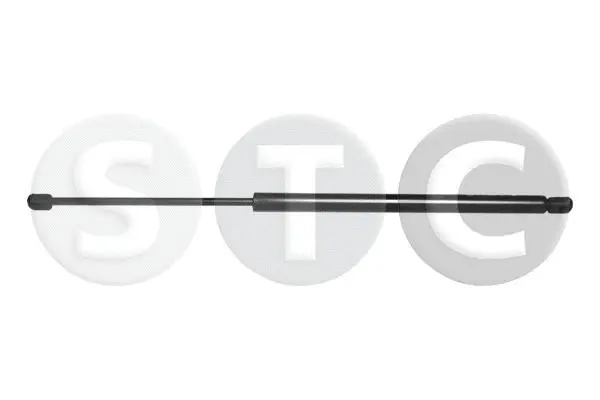 Gas Spring, boot/cargo area (T446683)