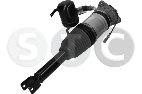 Air Suspension Strut