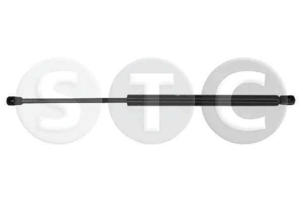 Gas Spring, boot/cargo area (T446472)